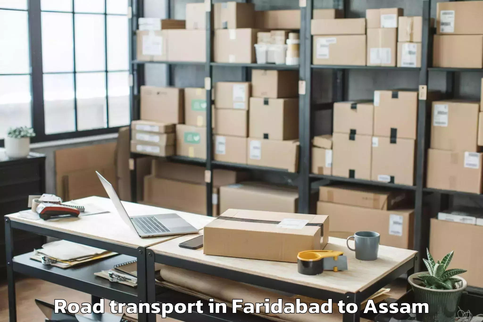 Professional Faridabad to Chapar Road Transport